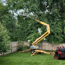 Best Lawn Watering Services  in Trenton, TN