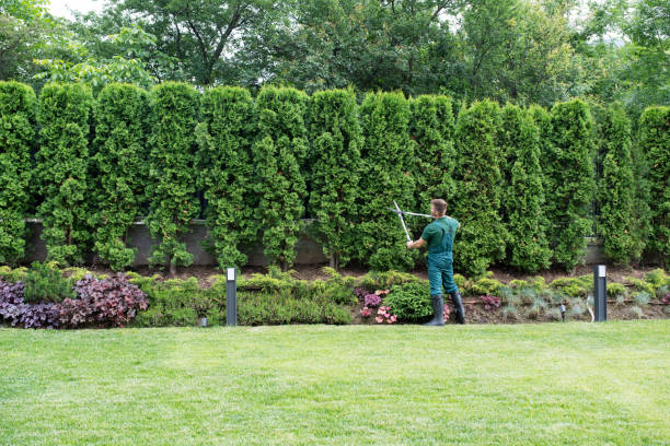 Best Soil Testing and Treatment  in Trenton, TN