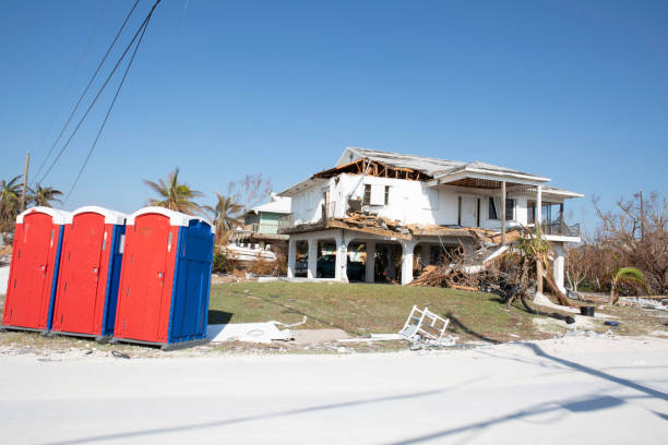 Best Hazardous Tree Removal  in Trenton, TN
